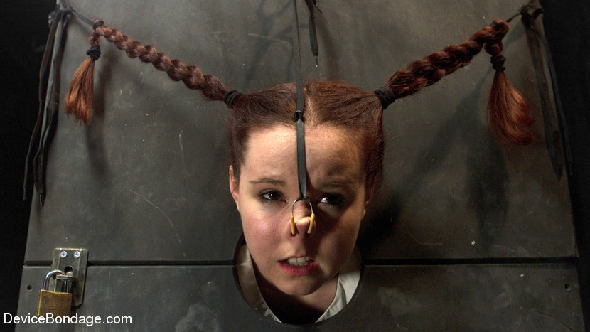 BestBDSM24.com - Image 27159 - Pig