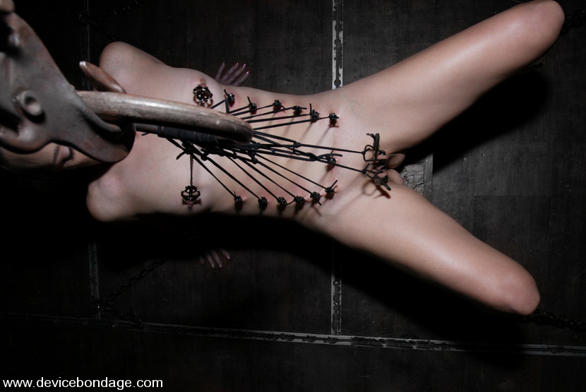 BestBDSM24.com - Image 4362 - Endurance