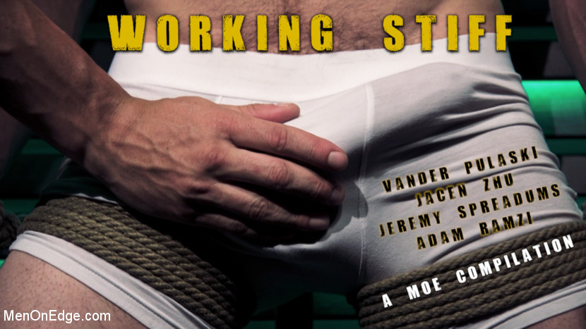 BestBDSM24.com - Image 45925 - Working Stiff! A kinky MOE Compilation