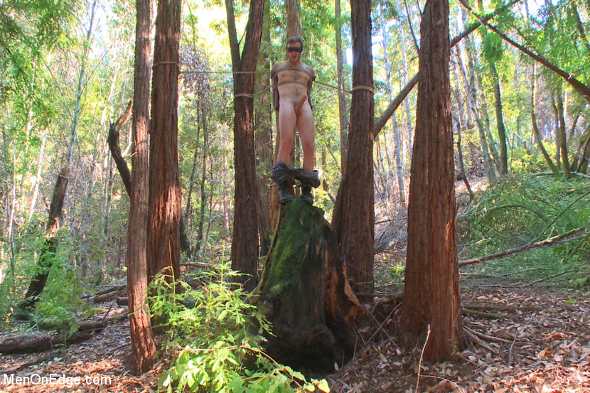 BestBDSM24.com - Image 35928 - Bound Christian Wilde begs to cum in the woods