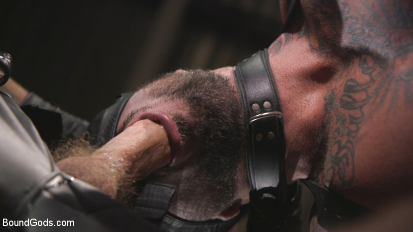 BestBDSM24.com - Image 41621 - Muscled hunk begs for his master's abuse